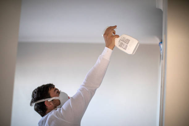 Best Residential Mold Removal  in Yalaha, FL
