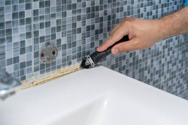 Certified Mold Removal in Yalaha, FL