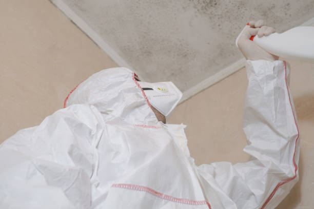 Best Mold Removal and Inspection  in Yalaha, FL