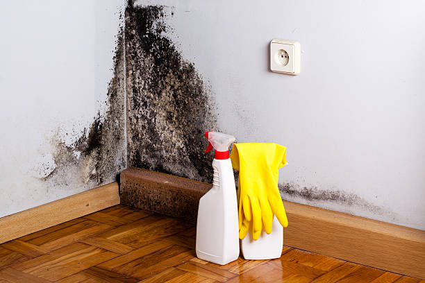 Water Damage Restoration in Yalaha, FL